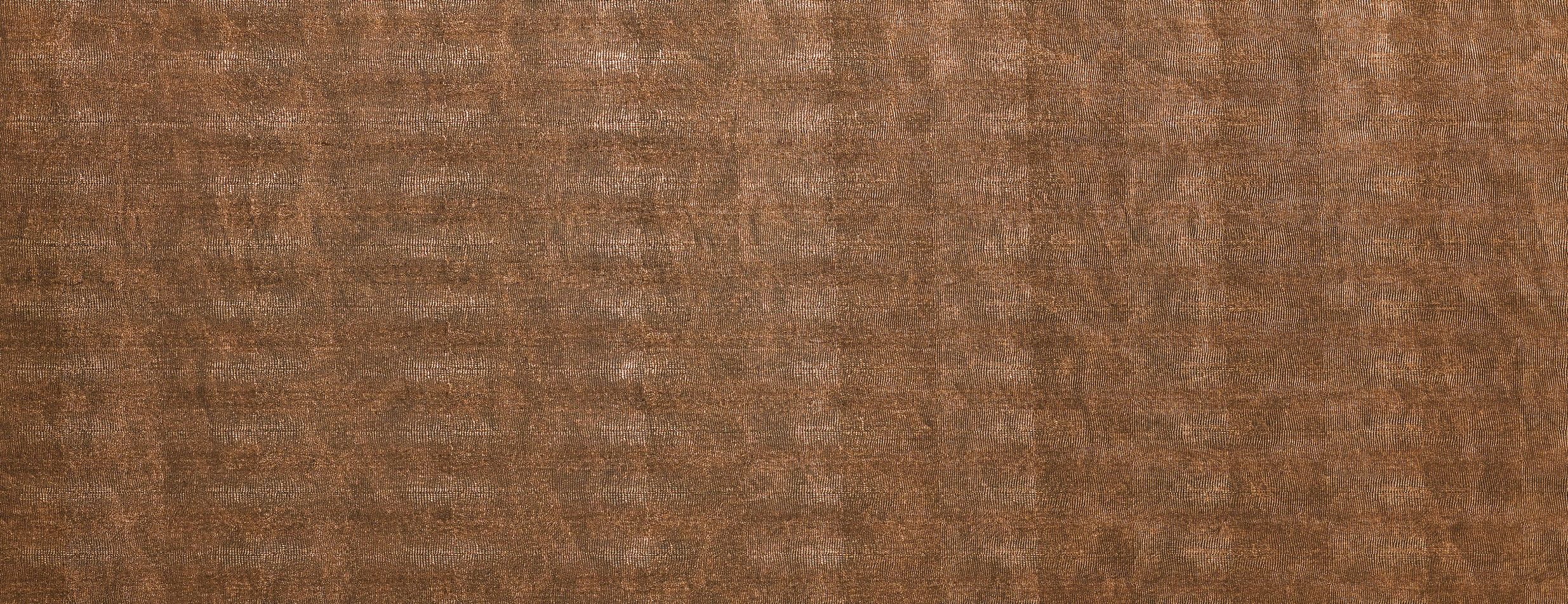 Leguan Copper 200 Pic 1